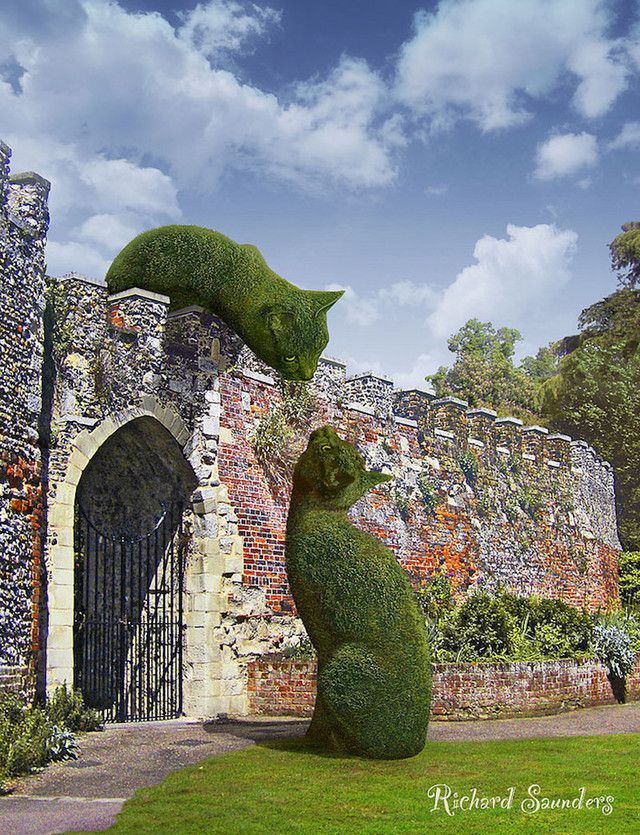 1471185581 ad topiary cats by richard saunders 004