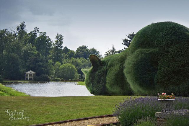 1471185612 ad topiary cats by richard saunders 003