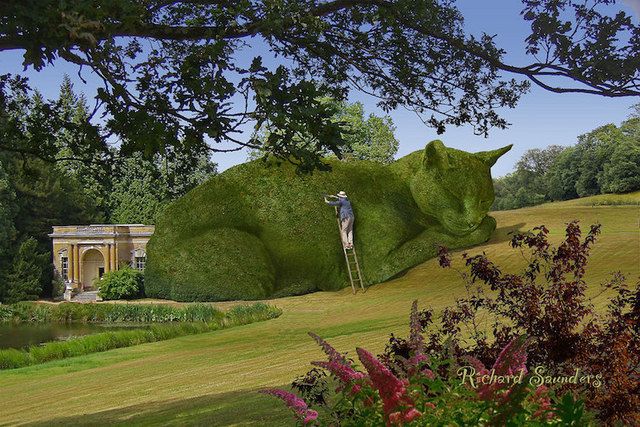 1471185618 ad topiary cats by richard saunders 001