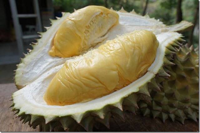 https://image.sistacafe.com/images/uploads/content_image/image/18539/1437110688-durian44.jpg
