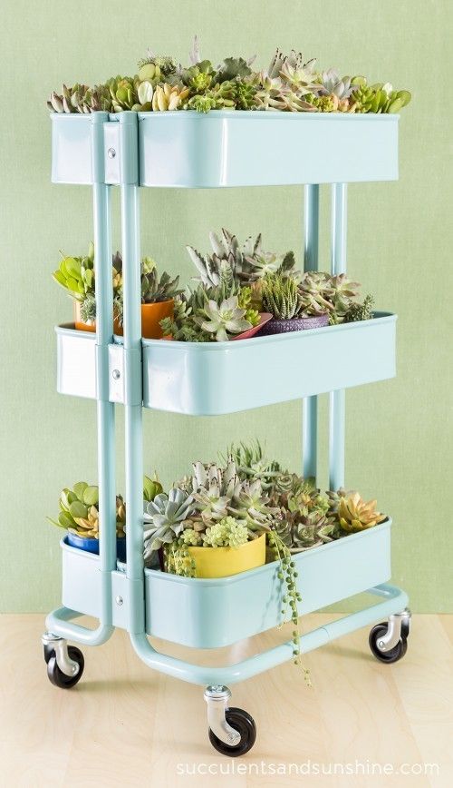 https://image.sistacafe.com/images/uploads/content_image/image/186766/1471605849-Create-a-fun-succulent-container-garden-in-an-Ikea-Cart-Succulents-and-Sunshine-500x868.jpg