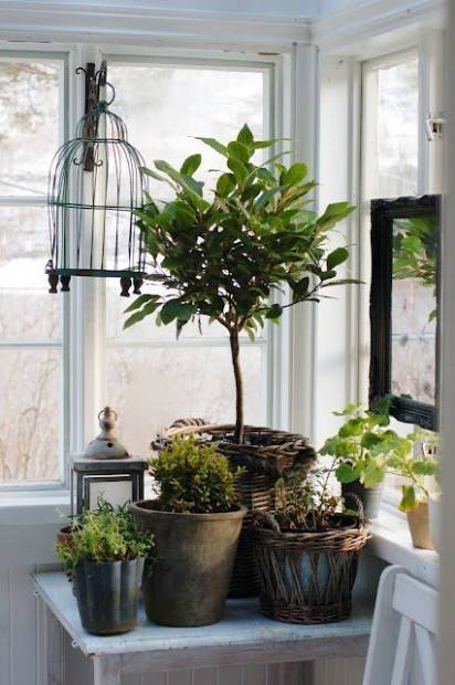 https://image.sistacafe.com/images/uploads/content_image/image/18807/1437248504-000226634main_post_photo646538.jpg