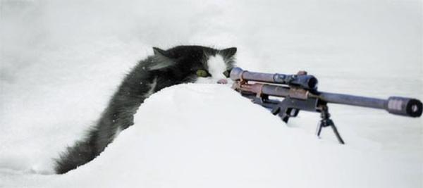 1471845352 snow cat gunner