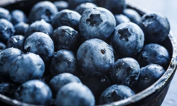 https://image.sistacafe.com/images/uploads/content_image/image/190319/1472023709-blueberries.jpg