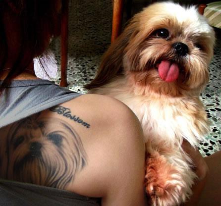 1472315359 6132 realistic image of little dog tattoo large