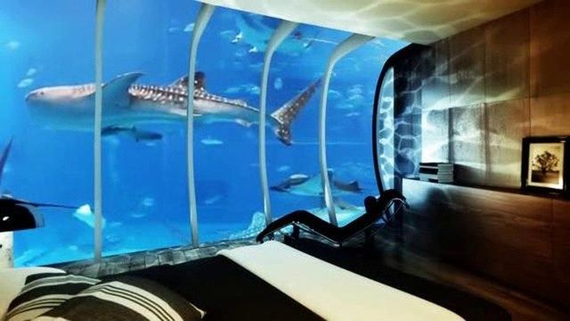https://image.sistacafe.com/images/uploads/content_image/image/199113/1472835236-Africa_E2_80_99s-First-Underwater-Hotel-Opens-In-Tanzania-2.jpg