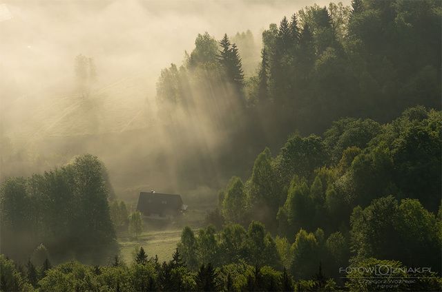 https://image.sistacafe.com/images/uploads/content_image/image/199219/1472840480-cozy-cabins-in-the-woods-48-575fd45919610__880.jpg