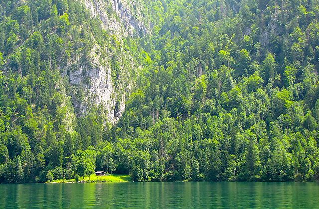 image_199231