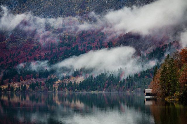 https://image.sistacafe.com/images/uploads/content_image/image/199238/1472840989-cozy-cabins-in-the-woods-002-57c58673a11c6__880.jpg