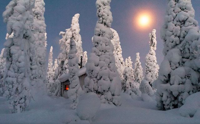 https://image.sistacafe.com/images/uploads/content_image/image/199240/1472841052-cozy-cabins-in-the-woods-106-57600c831cf70__880.jpg