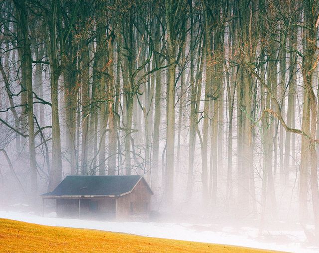 https://image.sistacafe.com/images/uploads/content_image/image/199254/1472841351-cozy-cabins-in-the-woods-44-575fd287dd347__880.jpg