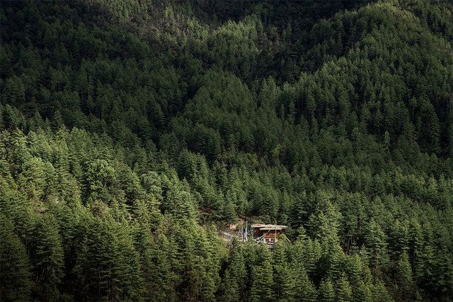 image_199261