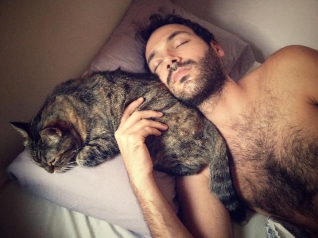 1473237736 cat sleeping with man mayle torres