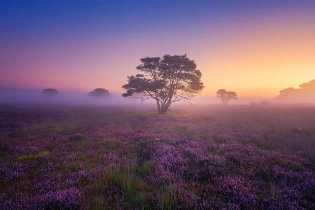 1473395727 mystery morning 57d11191828db  880