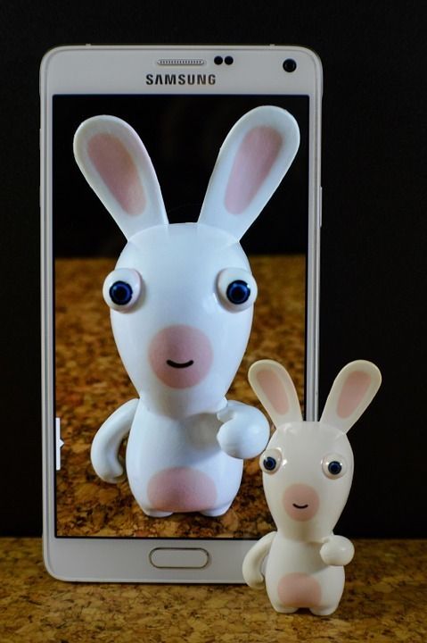 1473403169 hare 643353 960 720