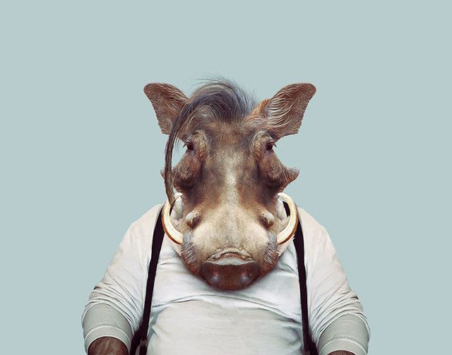 1473685401 animals dressed like humans zoo porraits yago partal 138 57d65e005fb79  880
