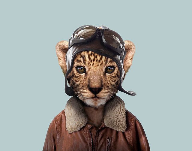 1473685530 animals dressed like humans zoo porraits yago partal 83 57d65d8ba9237  880