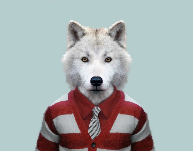 1473685568 animals dressed like humans zoo porraits yago partal 8 57d65cb587324  880