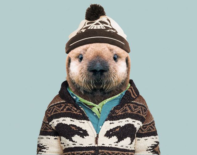 1473685612 animals dressed like humans zoo porraits yago partal 114 57d65dc6a8f4d  880