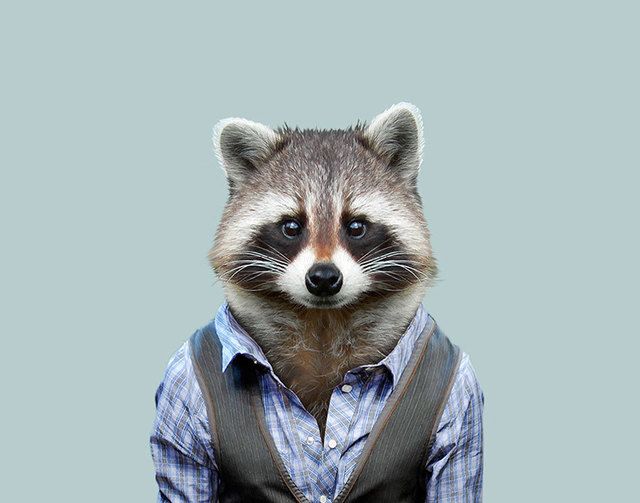 1473685681 animals dressed like humans zoo porraits yago partal 35 57d65d0b20586  880
