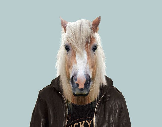 1473685710 animals dressed like humans zoo porraits yago partal 72 57d65d74e7cd9  880