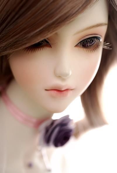 image_210082
