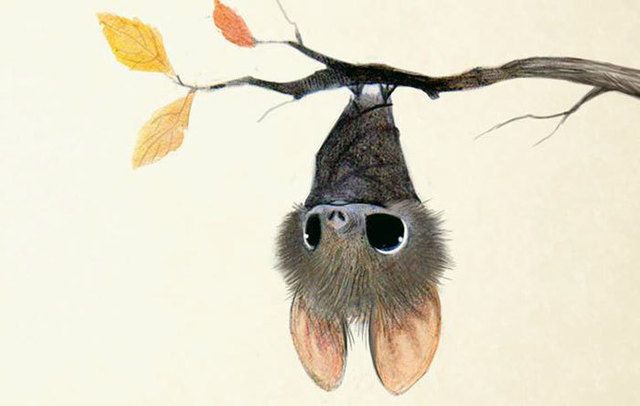 1474093261 cute animal illustration sydney hanson 30 57dbe33e781a8  700