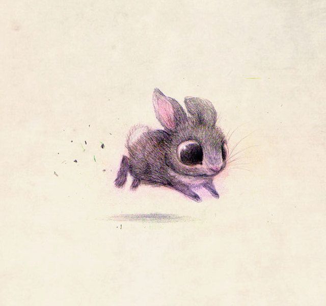 1474093273 cute animal illustration sydney hanson 26 57dbe334d253f  700
