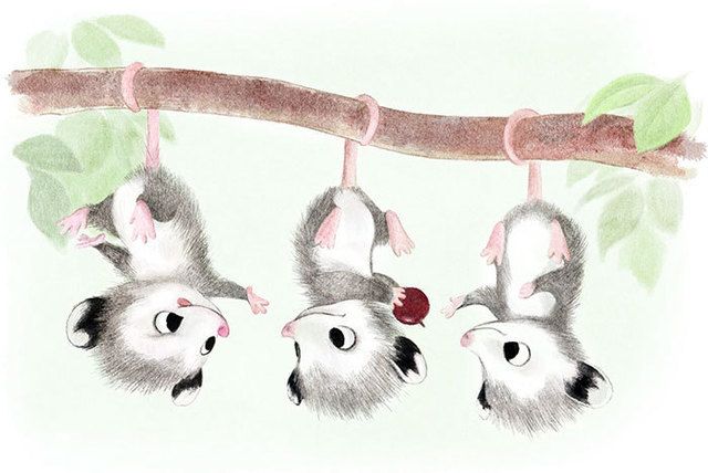1474093655 cute animal illustration sydney hanson 24 57dbe3306711f  700