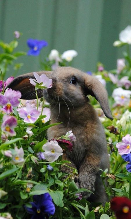 https://image.sistacafe.com/images/uploads/content_image/image/213236/1474304962-74ae30e120fafb135562489b5d7180f0.jpg