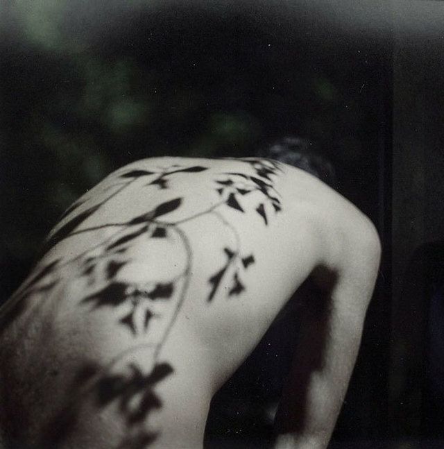 https://image.sistacafe.com/images/uploads/content_image/image/214889/1474479710-creative-hard-shadow-photography-14-57e22f7fda347__700.jpg