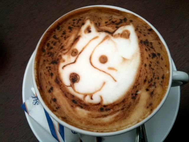 https://image.sistacafe.com/images/uploads/content_image/image/214994/1474488073-animal-lattte.jpg