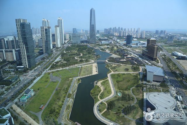 image_215503