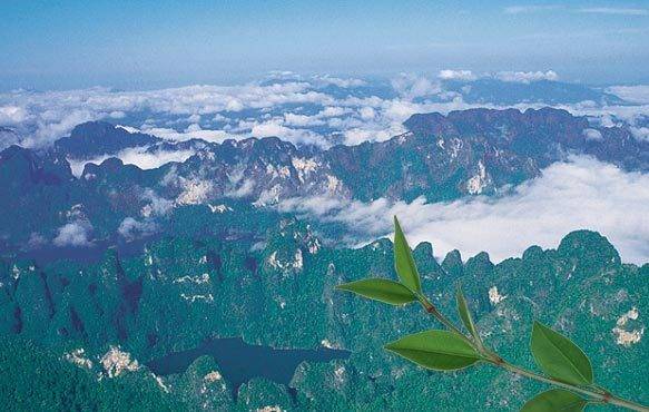 image_21584