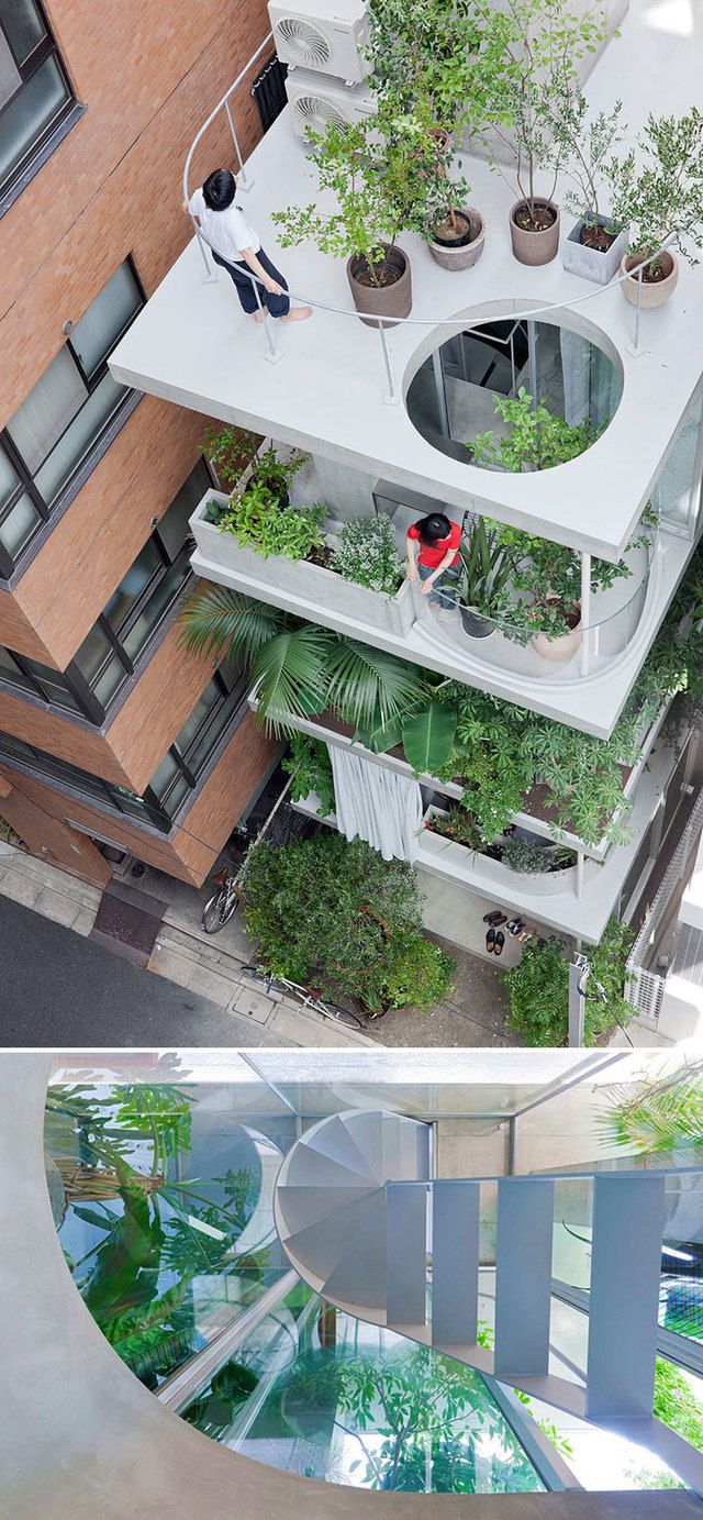 image_215878