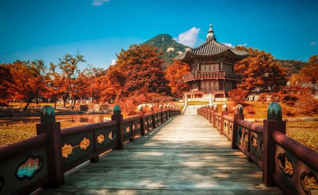 1474882229 gyeongbukgung palace seoul autumn leaves danpoong 1080x664