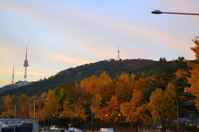 image_218065