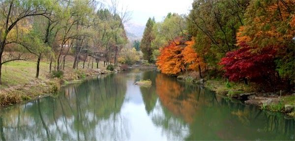 image_218099
