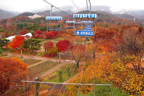 image_218103