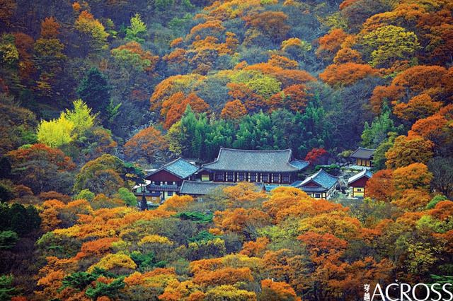 image_218104