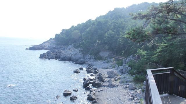 image_218476