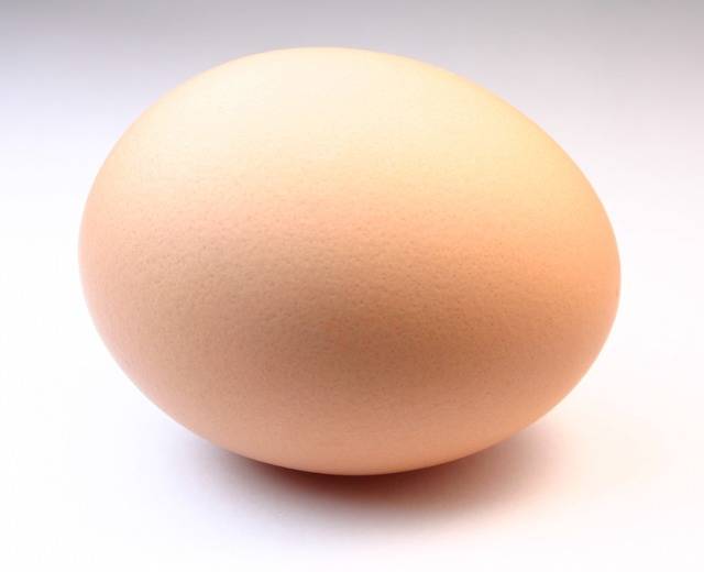 1437992196 perfect egg