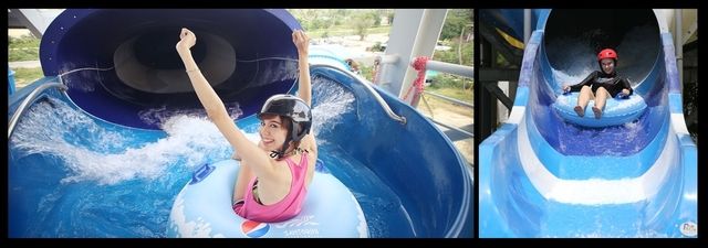 image_218559