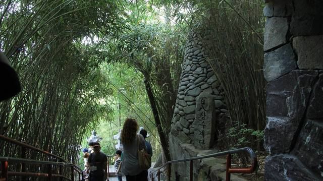 image_218573