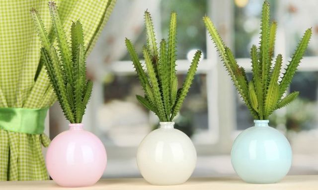 1474995045 deko jardin 520 ideas para decorar con cactus xl 668x400x80xx