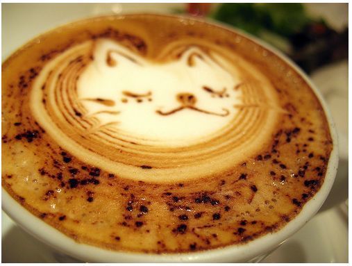 https://image.sistacafe.com/images/uploads/content_image/image/223316/1475564936-73635d5ab4771f302b3ea1aba1d23092.jpg