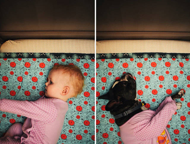 https://image.sistacafe.com/images/uploads/content_image/image/22611/1438152740-I-Photograph-My-Daughter-And-Dog-In-The-Same-Setting10__880.jpg