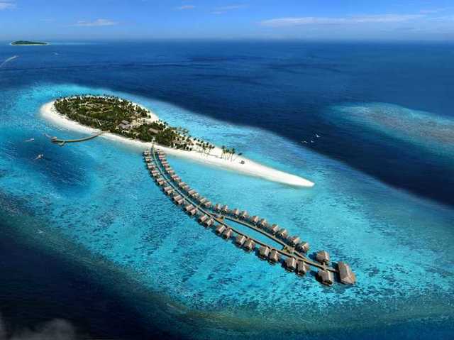 image_226184