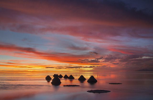 image_226305