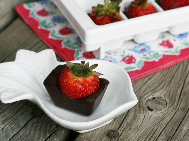 1438252493 chocolate covered strawberries in an ice cube tray